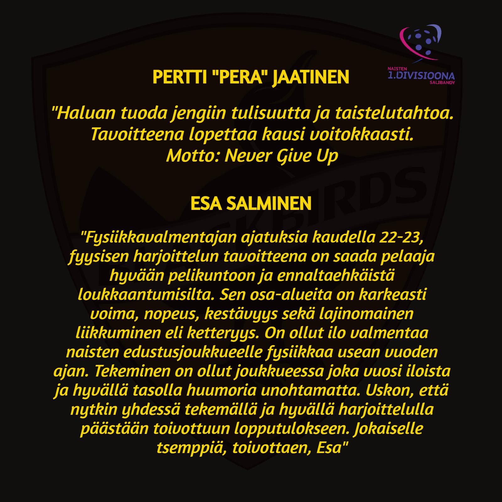 Pertti_Jaatisen_ja_Esa_Salmisen_puheenvuorot.jpg